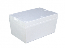 Isothermal container in plastic boxes BD6430