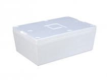 Isothermal container in plastic boxes N6423